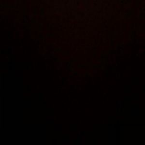 Meet your Posher, Jaden